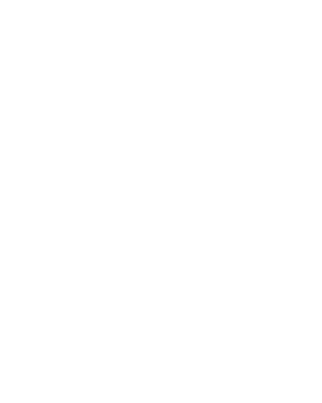 Logo FLUX crew w (cropped)